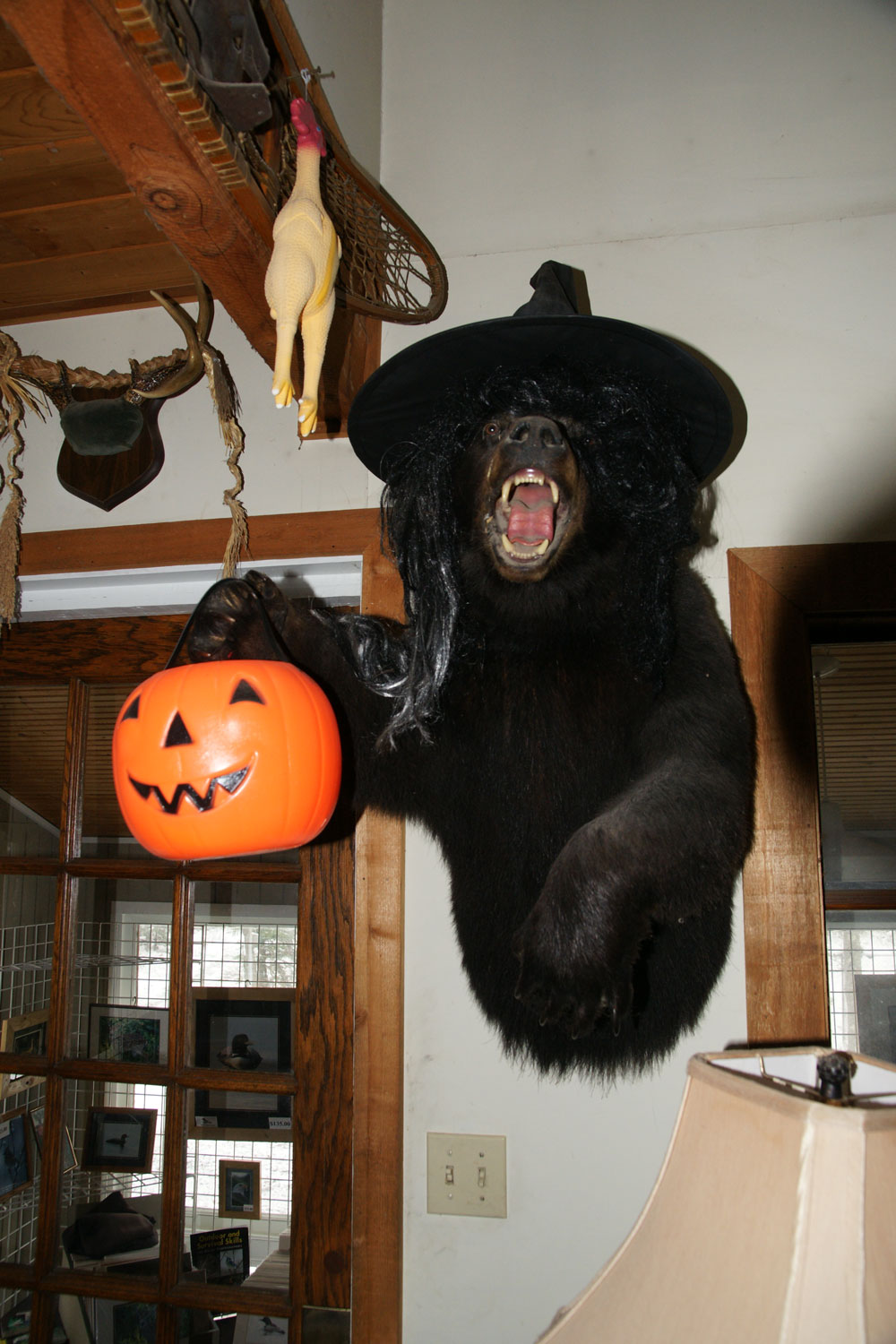 Halloween Bear