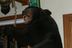 New Year's Bear